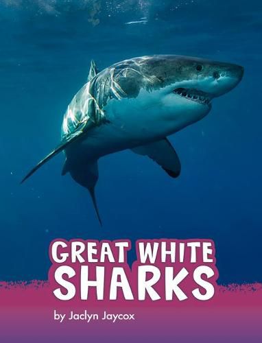 Great White Sharks