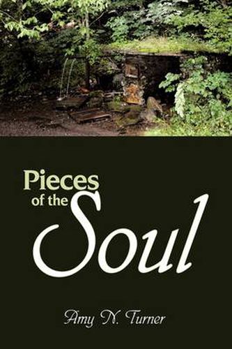 Cover image for Pieces of the Soul