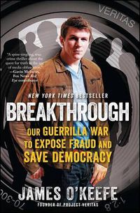 Cover image for Breakthrough: Our Guerilla War to Expose Fraud and Save Democracy