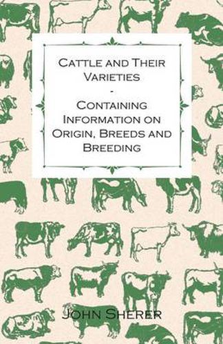 Cover image for Cattle and Their Varieties - Containing Information on Origin, Breeds and Breeding