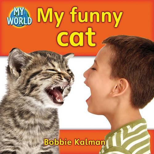 Cover image for My Funny Cat