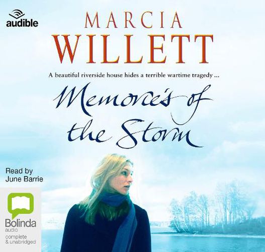 Cover image for Memories of the Storm