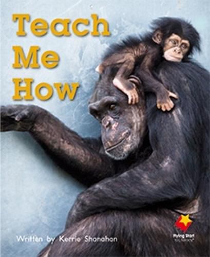 Cover image for Teach Me How