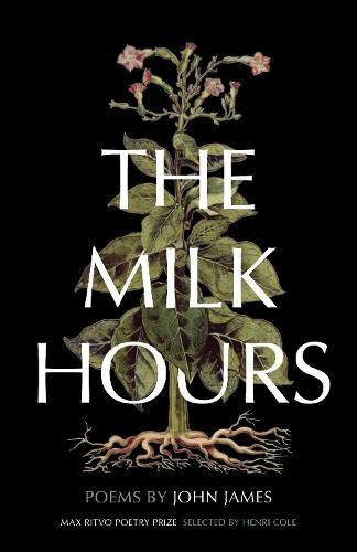 Cover image for The Milk Hours: Poems