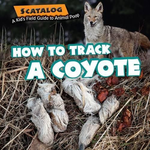 Cover image for How to Track a Coyote