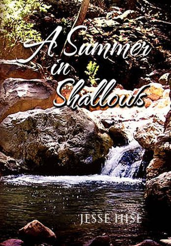 Cover image for A Summer in Shallows