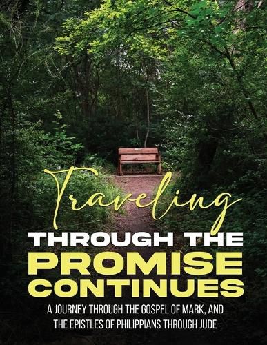 Cover image for Travelling Through The Promise Continues