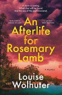 Cover image for An Afterlife for Rosemary Lamb