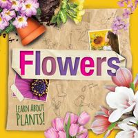 Cover image for Flowers