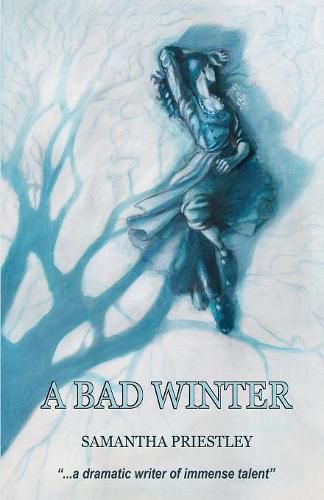 Cover image for A Bad Winter