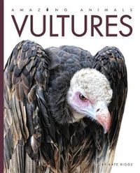 Cover image for Amazing Animals Vultures