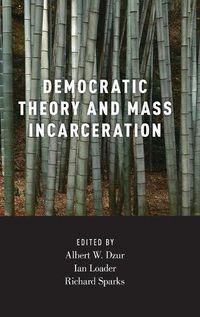 Cover image for Democratic Theory and Mass Incarceration