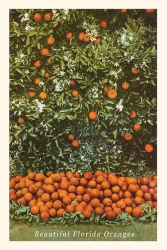 Cover image for Vintage Journal Oranges, Florida