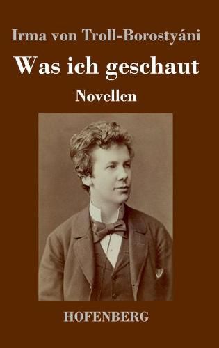 Cover image for Was ich geschaut: Novellen