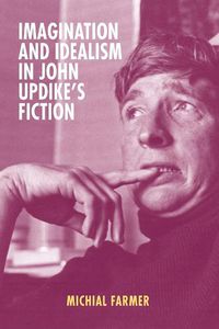 Cover image for Imagination and Idealism in John Updike's Fiction