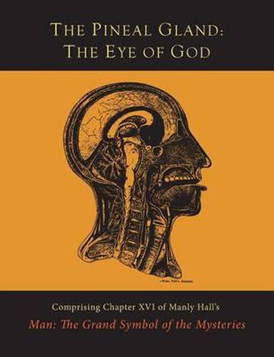 The Pineal Gland: The Eye of God