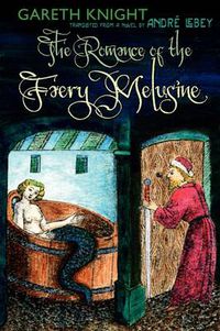 Cover image for The Romance of the Faery Melusine