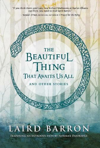 Cover image for The Beautiful Thing That Awaits Us All: Stories