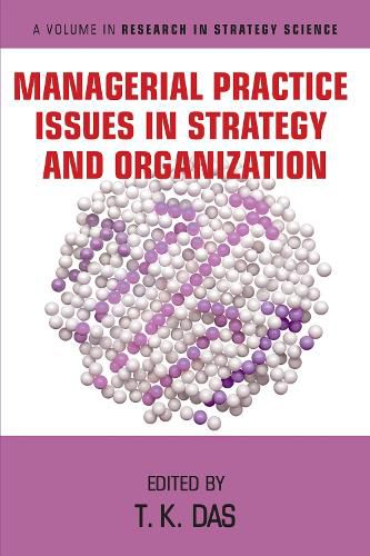 Cover image for Managerial Practice Issues in Strategy and Organization