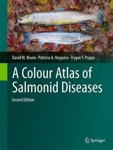 Cover image for A Colour Atlas of Salmonid Diseases