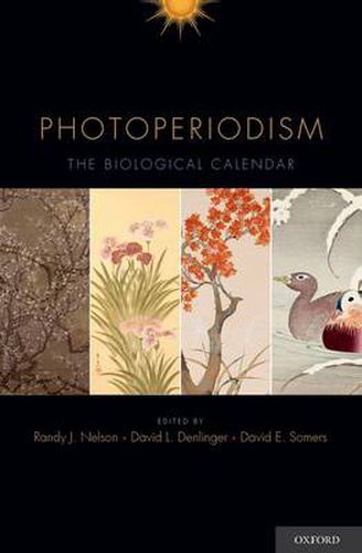 Cover image for Photoperiodism: The Biological Calendar