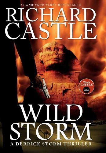 Cover image for Wild Storm: A Derrick Storm Novel