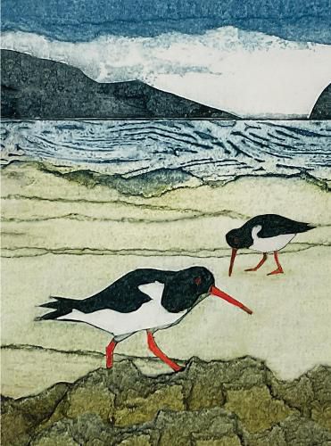 Cover image for Wild Birds Pocket Notebook: Oystercatcher
