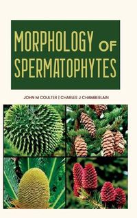 Cover image for Morphology of Spermatophytes