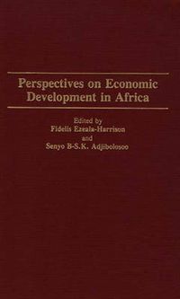 Cover image for Perspectives on Economic Development in Africa