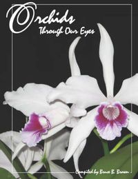 Cover image for Orchids Through Our Eyes