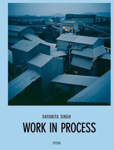 Cover image for Dayanita Singh: Work in Process