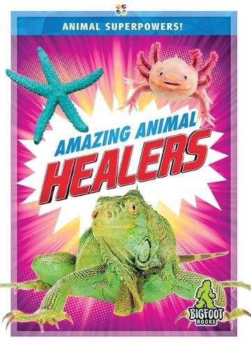 Cover image for Amazing Animal Healers