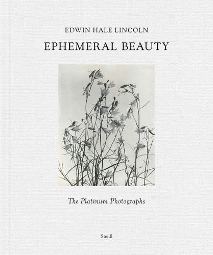 Cover image for Edwin Hale Lincoln: Ephemeral Beauty: The Platinum Photographs