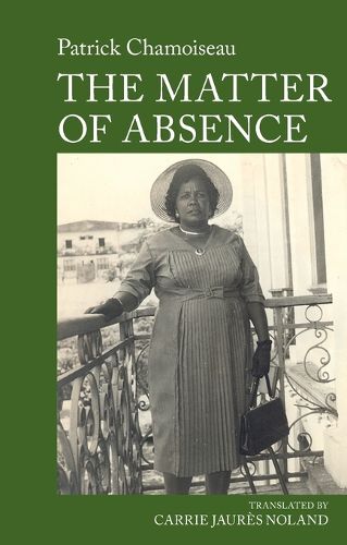 Cover image for The Matter of Absence