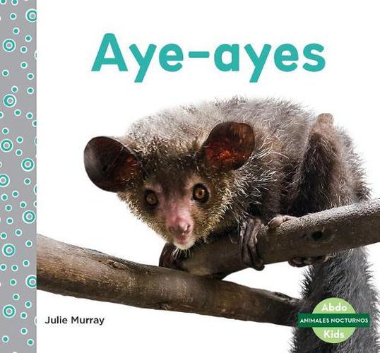 Cover image for Aye-Ayes