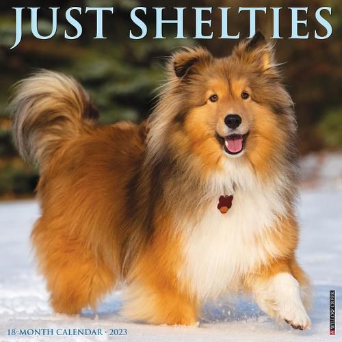 Cover image for Just Shelties 2023 Wall Calendar