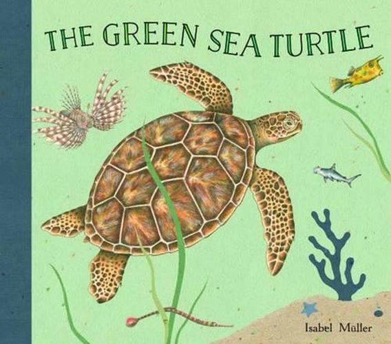 Cover image for The Green Sea Turtle