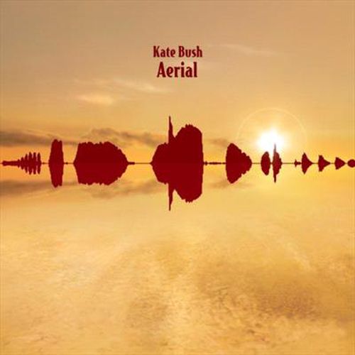 Cover image for Aerial