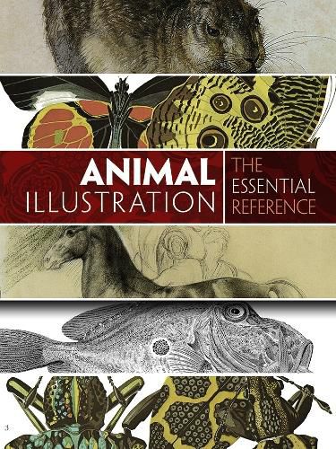 Cover image for Animal Illustration: The Essential Reference