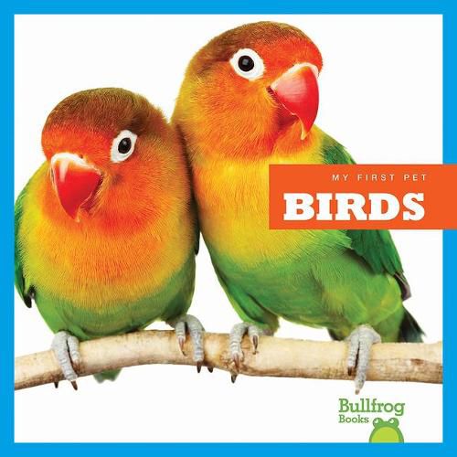 Cover image for Birds