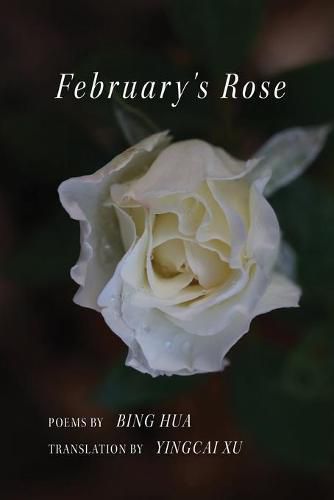 Cover image for February's Rose