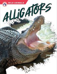 Cover image for Alligators