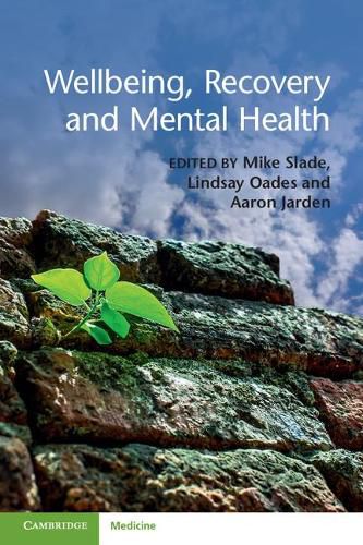 Cover image for Wellbeing, Recovery and Mental Health