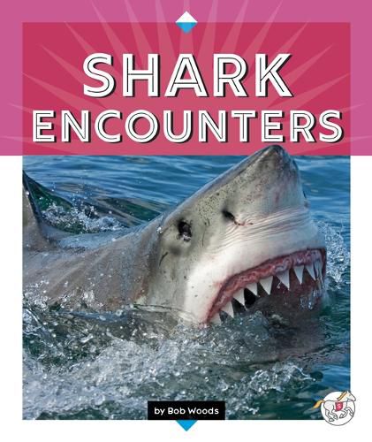 Cover image for Shark Encounters