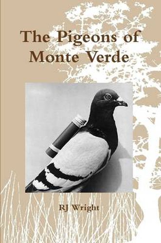 Cover image for The Pigeons of Monte Verde