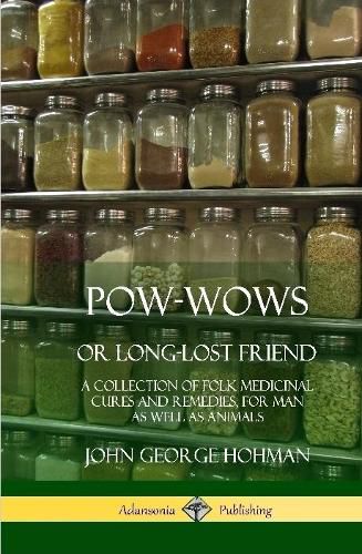 Cover image for Pow-Wows, or Long-Lost Friend