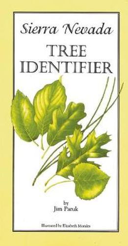 Cover image for Sierra Nevada Tree Identifier