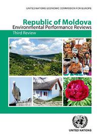 Cover image for Republic of Moldova: third review