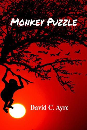 Cover image for Monkey Puzzle