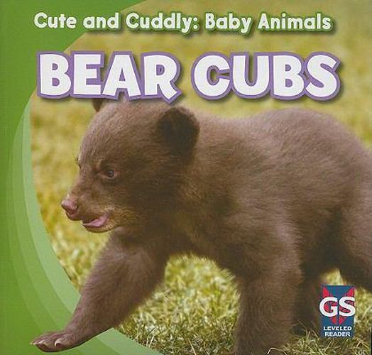 Cover image for Bear Cubs